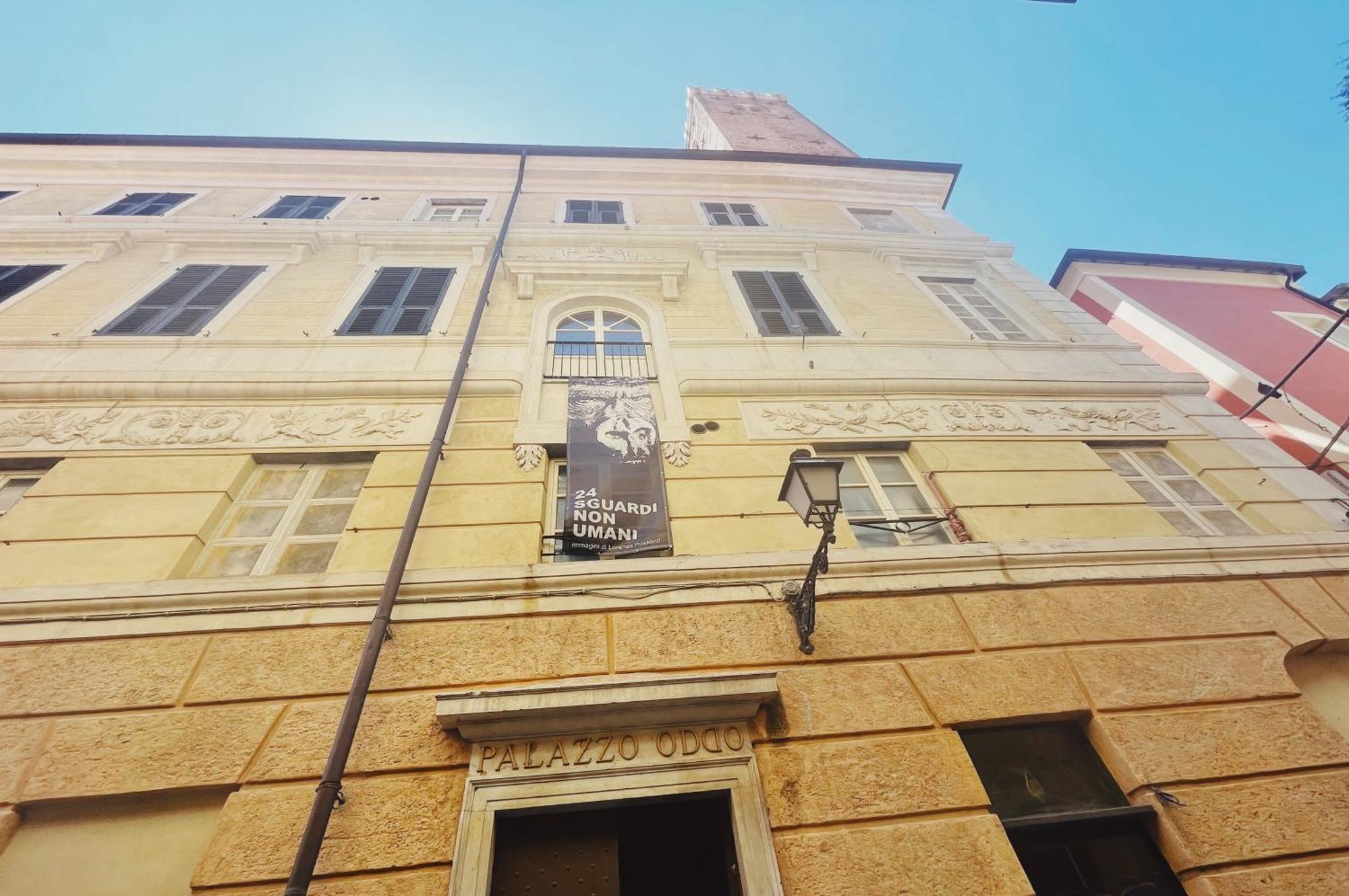 Palazzo Oddo Rental Rooms ألبينغا المظهر الخارجي الصورة